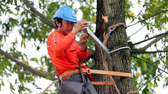 架設臨時線路 保障災民用電